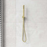 Bella Vista Mica Round Handheld Shower Set on Wall Bracket Variant Colors Available