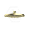 Bella Vista Mica 250mm Round ABS 6H Shower Head Variant Colour Available