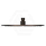 Bella Vista Mica 250mm Round Stainless Steel Shower Head 5mm Thick Colour Available
