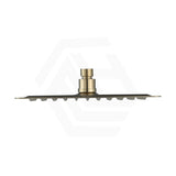 Bella Vista Cresta 250mm Square Stainless Steel Shower Head Variant Colour Avaliable