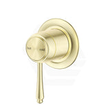 Bella Vista Mica Shower Wall Mixer Inwall Body Only