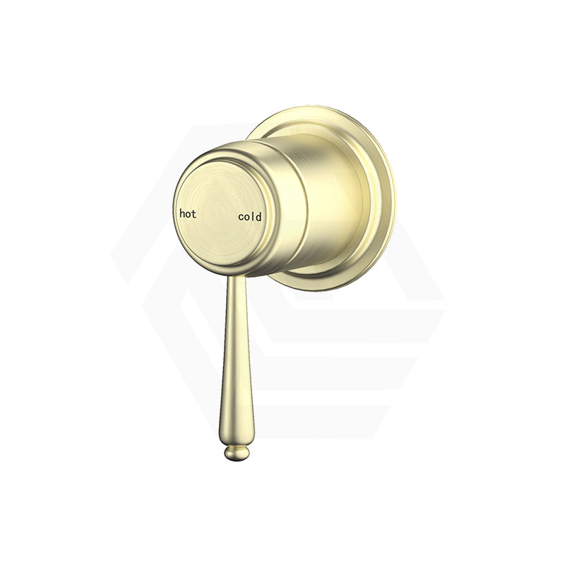 Bella Vista Mica Shower Wall Mixer Inwall Body Only