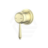 Bella Vista Mica Shower Wall Mixer Inwall Body Only