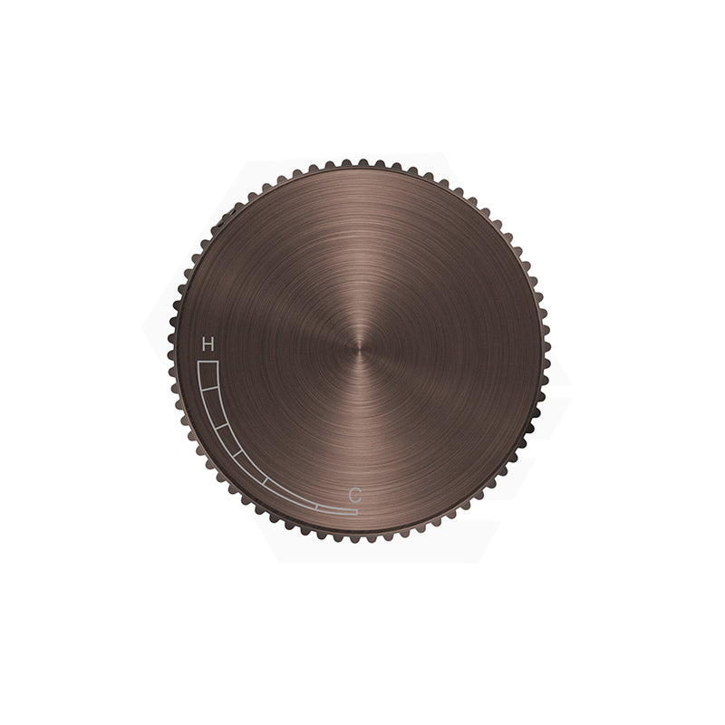 Dusk Bronze Bella Vista Mica Fluted Round Stainless Steel Progressive Shower Mixer
