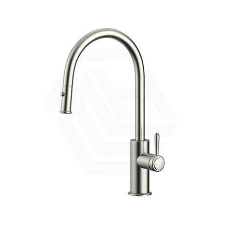 Bella Vista Mica Heritage Stainless Steel Pull-Out Gooseneck Sink Mixer Variant Colour Available