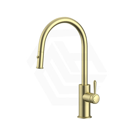 Bella Vista Mica Heritage Stainless Steel Pull-Out Gooseneck Sink Mixer Variant Colour Available