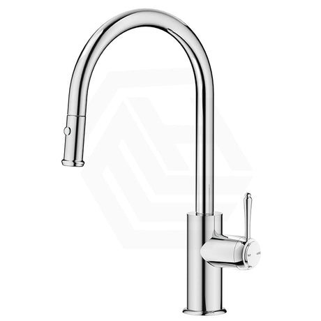 Bella Vista Mica Heritage Stainless Steel Pull-Out Gooseneck Sink Mixer Variant Colour Available