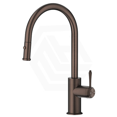 Bella Vista Mica Heritage Stainless Steel Pull-Out Gooseneck Sink Mixer Variant Colour Available
