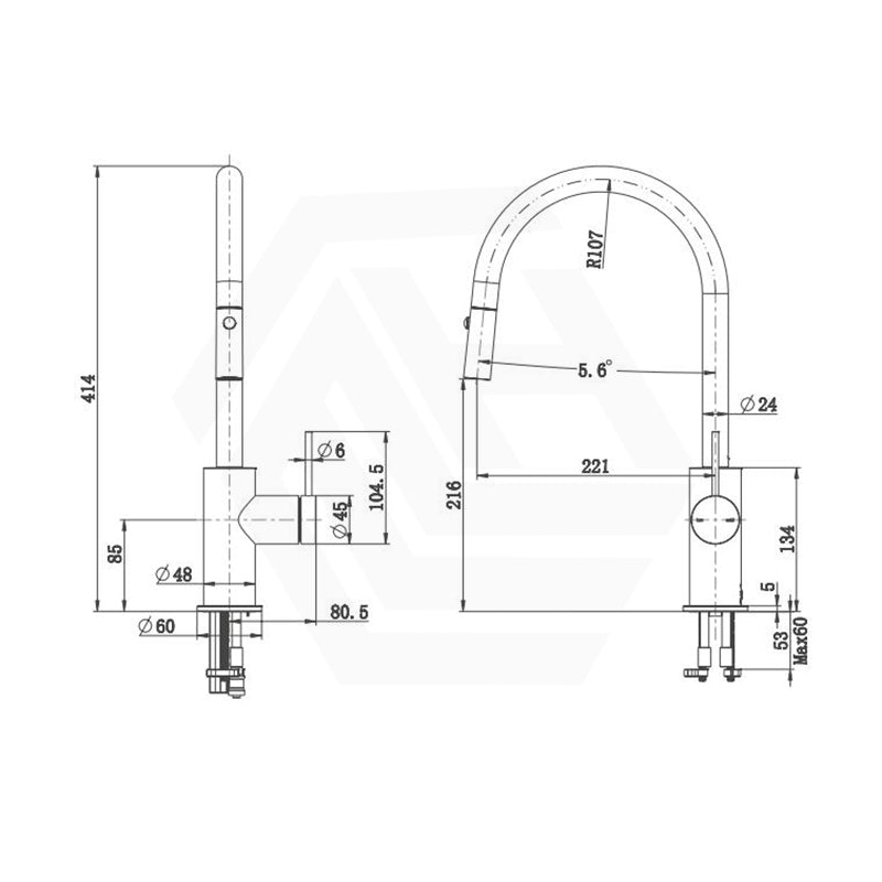 Bella Vista Mica Gooseneck Stainless Steel Pull-Out Sink Mixer Variant Colour Available