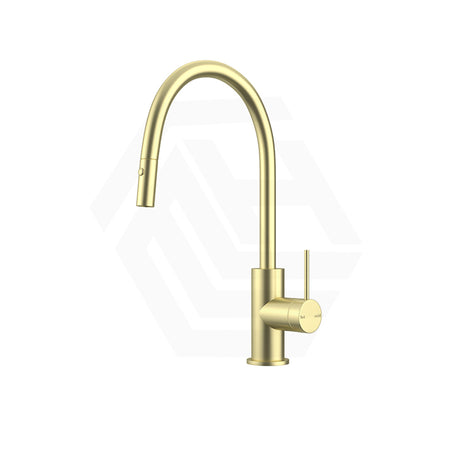 Bella Vista Mica Gooseneck Stainless Steel Pull-Out Sink Mixer Variant Colour Available