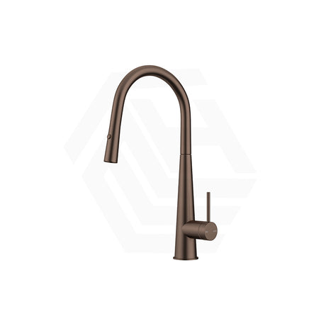 Bella Vista Mica Stainless Steel Pull-Out Cone Sink Mixer Variant Colour Available