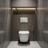 R&T Toilet Button G3005008 for In-wall Concealed Cistern 210x140x8mm - Variant Colour Available