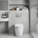 R&T Toilet Button G3005008 for In-wall Concealed Cistern 210x140x8mm - Variant Colour Available