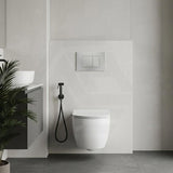 R&T Toilet Button G3005008 for In-wall Concealed Cistern 210x140x8mm - Variant Colour Available