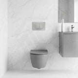 R&T Toilet Button G3005008 for In-wall Concealed Cistern 210x140x8mm - Variant Colour Available
