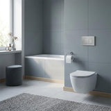 R&T Toilet Button G3005008 for In-wall Concealed Cistern 210x140x8mm - Variant Colour Available