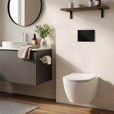 R&T Toilet Button G3005008 for In-wall Concealed Cistern 210x140x8mm - Variant Colour Available