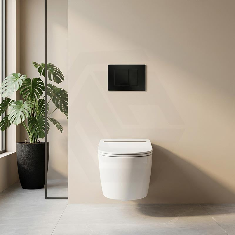 R&T Toilet Button G3005008 for In-wall Concealed Cistern 210x140x8mm - Variant Colour Available