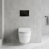 R&T Toilet Button G3005008 for In-wall Concealed Cistern 210x140x8mm - Variant Colour Available