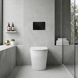 R&T Toilet Button G3005008 for In-wall Concealed Cistern 210x140x8mm - Variant Colour Available