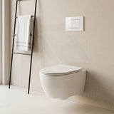 R&T Toilet Button G3005008 for In-wall Concealed Cistern 210x140x8mm - Variant Colour Available
