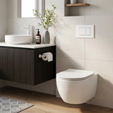 R&T Toilet Button G3005008 for In-wall Concealed Cistern 210x140x8mm - Variant Colour Available