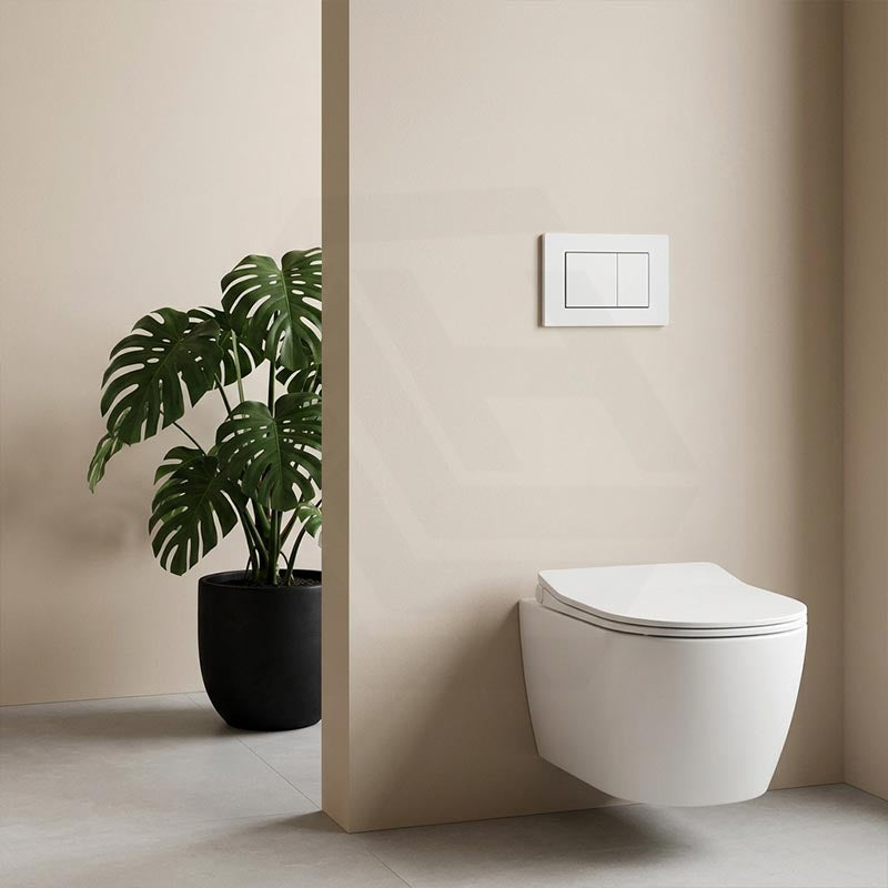 R&T Toilet Button G3005008 for In-wall Concealed Cistern 210x140x8mm - Variant Colour Available