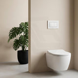 R&T Toilet Button G3005008 for In-wall Concealed Cistern 210x140x8mm - Variant Colour Available