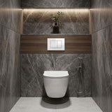 R&T Toilet Button G3005008 for In-wall Concealed Cistern 210x140x8mm - Variant Colour Available