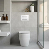 R&T Toilet Button G3005008 for In-wall Concealed Cistern 210x140x8mm - Variant Colour Available