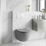 R&T Toilet Button G3005008 for In-wall Concealed Cistern 210x140x8mm - Variant Colour Available