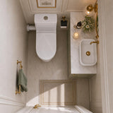 Right or Left Hand Skew Trap Toilet Suite Box Rim Ceramic Back Left and Right Bottom Inlet 665x375x830mm - Gloss White