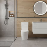 Vivid Tornado Silent Ceramic Back To Wall Toilet Suite Back/Left & Right Bottom Inlet 665x385x870mm - Gloss White