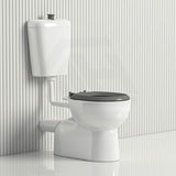 820x350x1180mm Disabled Special Care Toilet Suite White Ceramic Box Rim Bottom inlet P Trap