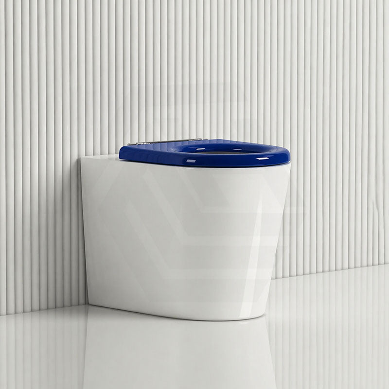 Asta Special Care Tornado Toilet Pan Back To Wall Blue / Grey Single Flap Care Seat 795x355x425mm