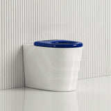 Asta Special Care Tornado Toilet Pan Back To Wall Blue / Grey Single Flap Care Seat 795x355x425mm
