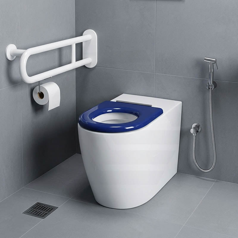 Asta Special Care Tornado Toilet Pan Back To Wall Blue / Grey Single Flap Care Seat 795x355x425mm