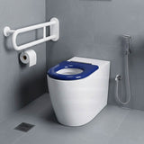 Asta Special Care Tornado Toilet Pan Back To Wall Blue / Grey Single Flap Care Seat 795x355x425mm