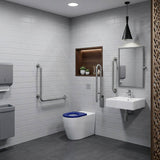 Asta Special Care Tornado Toilet Pan Back To Wall Blue / Grey Single Flap Care Seat 795x355x425mm