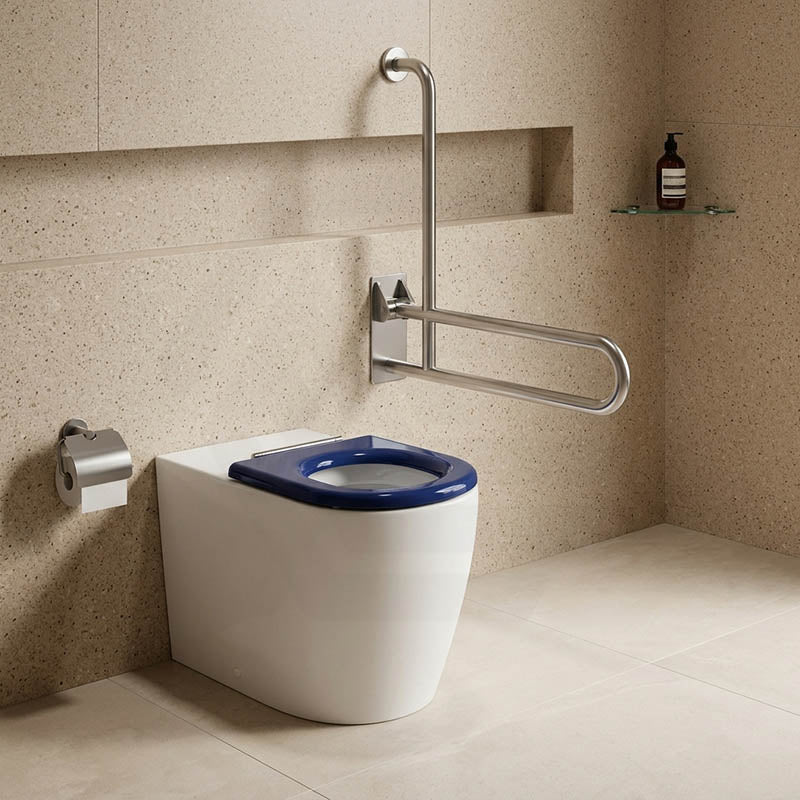 Asta Special Care Tornado Toilet Pan Back To Wall Blue / Grey Single Flap Care Seat 795x355x425mm