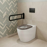Asta Special Care Tornado Toilet Pan Back To Wall Blue / Grey Single Flap Care Seat 795x355x425mm