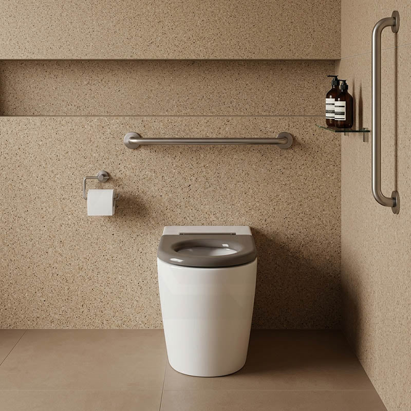 Asta Special Care Tornado Toilet Pan Back To Wall Blue / Grey Single Flap Care Seat 795x355x425mm