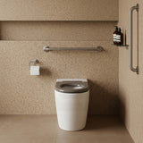 Asta Special Care Tornado Toilet Pan Back To Wall Blue / Grey Single Flap Care Seat 795x355x425mm