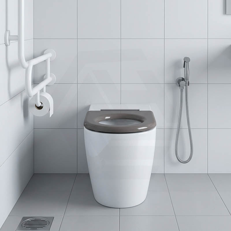 Asta Special Care Tornado Toilet Pan Back To Wall Blue / Grey Single Flap Care Seat 795x355x425mm