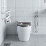 Asta Special Care Tornado Toilet Pan Back To Wall Blue / Grey Single Flap Care Seat 795x355x425mm