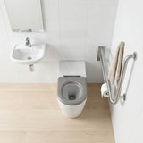 Asta Special Care Tornado Toilet Pan Back To Wall Blue / Grey Single Flap Care Seat 795x355x425mm