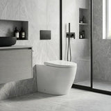 Elvera Tornado Wall Faced Floor Pan Only 630x365x445mm - Gloss White