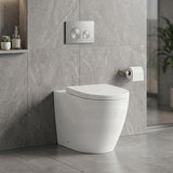 Elvera Tornado Wall Faced Floor Pan Only 630x365x445mm - Gloss White