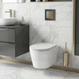 Avery Box Rim Wall Hung Toilet Pan Only Standard UF Seat Dual Flush 550x360x365mm - Gloss White
