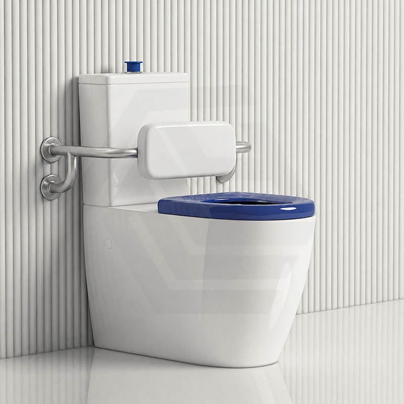 Asta Special Care Rimless Disabled Toilet Suite Back To Wall Single Flap Care Seat 810x355x880mm